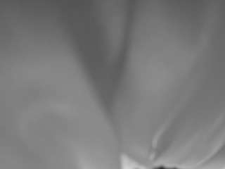The Horny Hostel - Bedroom 2