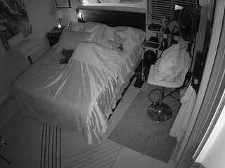 The Horny Hostel - Bedroom 2