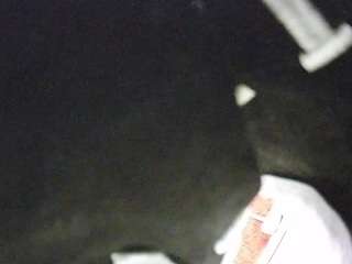 Pornstar, Hd, Voyeur, Tease, Sexwebcam, Pov, No smoking, No drinking, Hidde..., 14