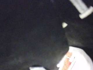 Pornstar, Hd, Voyeur, Tease, Sexwebcam, Pov, No smoking, No drinking, Hidde..., 8