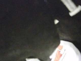 Pornstar, Hd, Voyeur, Tease, Sexwebcam, Pov, No smoking, No drinking, Hidde..., sex webcam 5