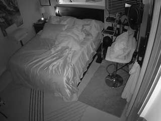 The Horny Hostel - Bedroom 2