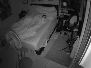 The Horny Hostel - Bedroom 2