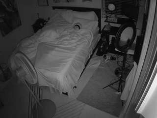 The Horny Hostel - Bedroom 2