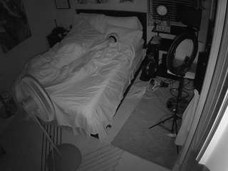 The Horny Hostel - Bedroom 2