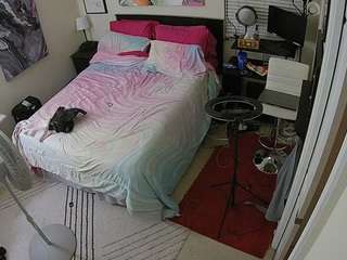 The Horny Hostel - Bedroom 2