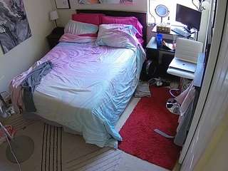 The Horny Hostel - Bedroom 2