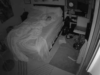 The Horny Hostel - Bedroom 2