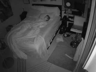 The Horny Hostel - Bedroom 2