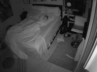 The Horny Hostel - Bedroom 2