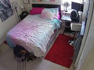 Pornstar, Hd, Voyeur, Tease, Sexwebcam, Pov, No smoking, No drinking, Hidde..., Hamster Live Porn 0