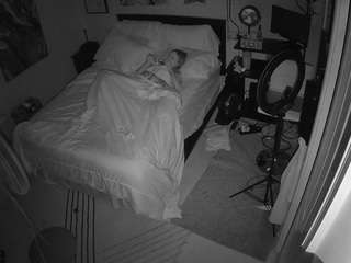 The Horny Hostel - Bedroom 2