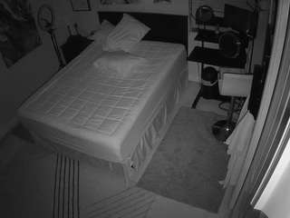 The Horny Hostel - Bedroom 2