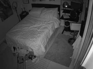 The Horny Hostel - Bedroom 2