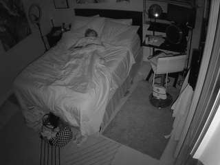 The Horny Hostel - Bedroom 2