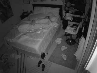 The Horny Hostel - Bedroom 2