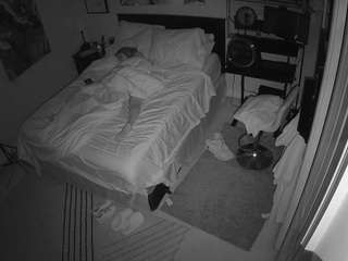 The Horny Hostel - Bedroom 2