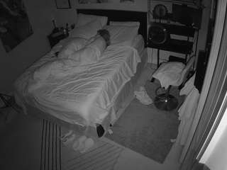 The Horny Hostel - Bedroom 2