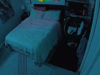 The Horny Hostel - Bedroom 2