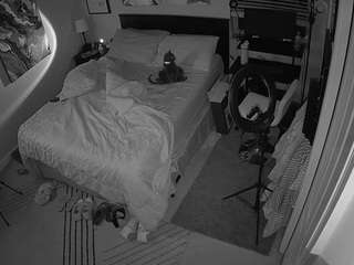The Horny Hostel - Bedroom 2
