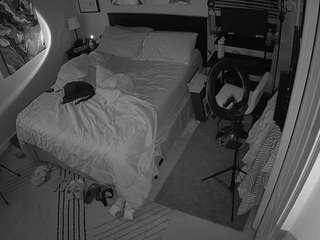 The Horny Hostel - Bedroom 2
