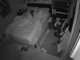 The Horny Hostel - Bedroom 2
