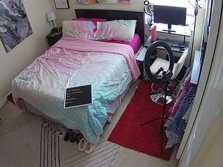 The Horny Hostel - Bedroom 2