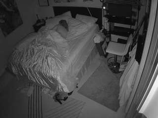 The Horny Hostel - Bedroom 2