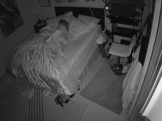 The Horny Hostel - Bedroom 2