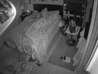 pornstar  hd  voyeur...