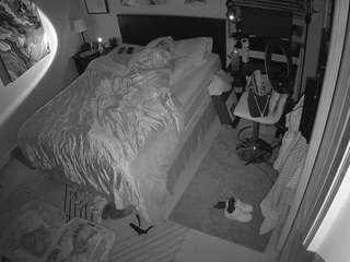 pornstar  hd  voyeur...