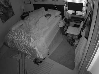 The Horny Hostel - Bedroom 2