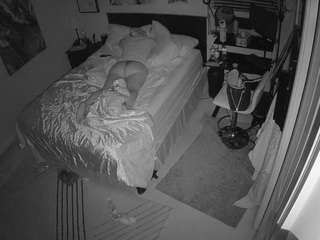 The Horny Hostel - Bedroom 2
