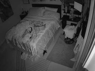 The Horny Hostel - Bedroom 2