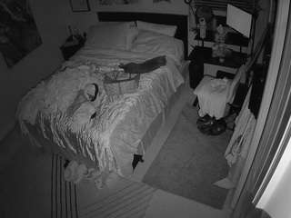 The Horny Hostel - Bedroom 2