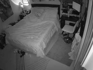 The Horny Hostel - Bedroom 2