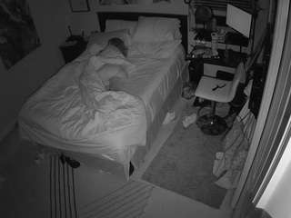 The Horny Hostel - Bedroom 2