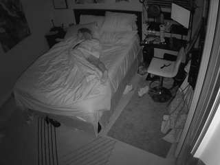The Horny Hostel - Bedroom 2