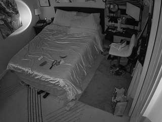 The Horny Hostel - Bedroom 2