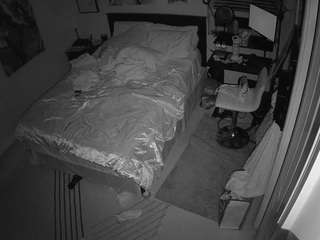 The Horny Hostel - Bedroom 2