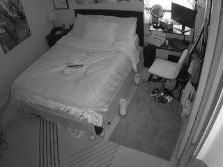 The Horny Hostel - Bedroom 2