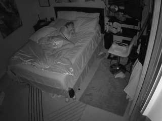 voyeurcam-hornyh... Live Webcam on CamSoda