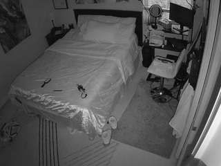 voyeurcam-hornyh... Live Webcam on CamSoda