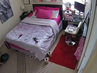 voyeurcam-hornyh... Live Webcam on CamSoda
