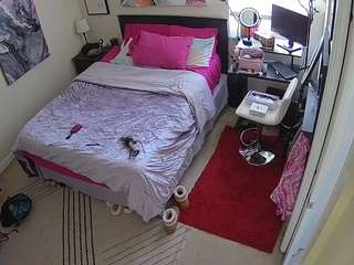 The Horny Hostel - Bedroom 2