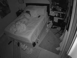 voyeurcam-hornyhoste... webcam