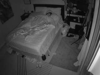 The Horny Hostel - Bedroom 2