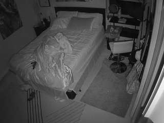 voyeurcam-hornyhostel-01 webcam model