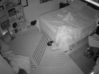 voyeurcam-hornyhoste... webcam