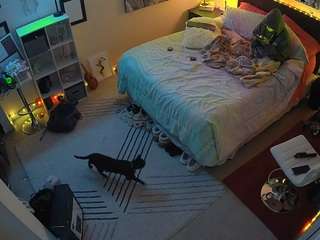 The Horny Hostel - Bedroom 2